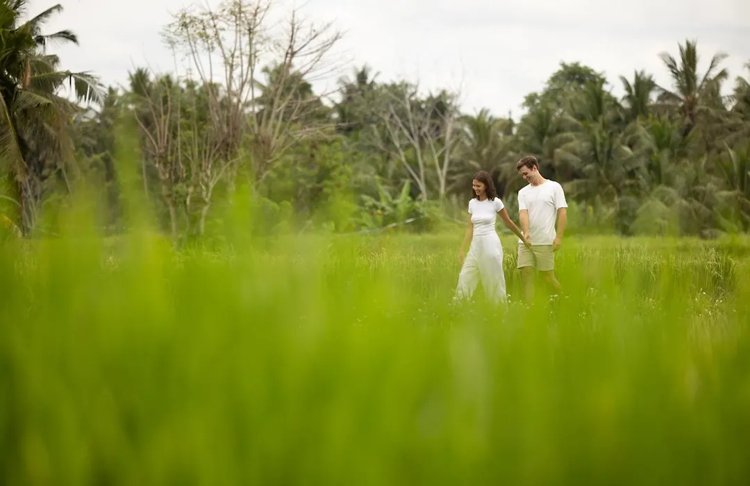 Beehouse Dijiwa Ubud-1