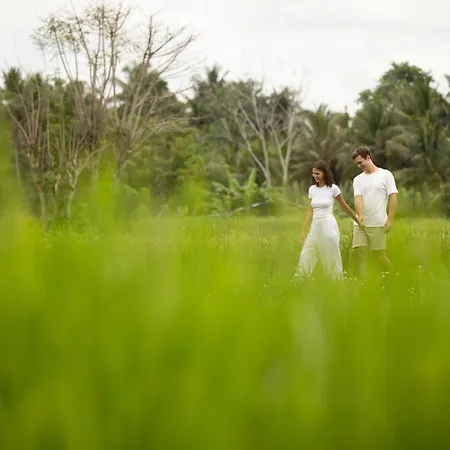 Beehouse Dijiwa Ubud-2
