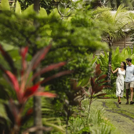 Beehouse Dijiwa Ubud-2