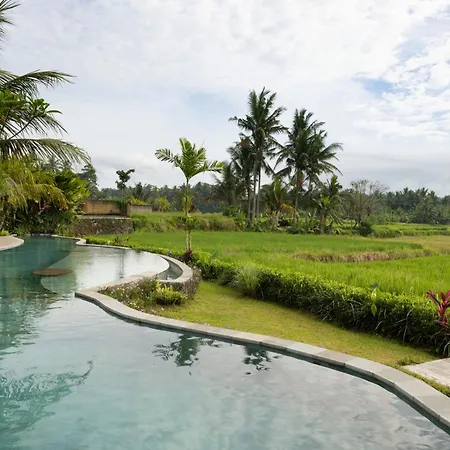 Beehouse Dijiwa Ubud-3